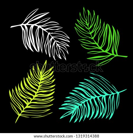 Vector exotic leaves, tropical plant, 4 colors, nature illustration