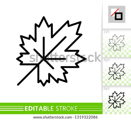 Leaf maple thin line icon. Nature banner, flat style. Botanical poster. Linear pictogram. Foliage simple illustration, outline symbol. Vector sign isolated on white. Editable stroke icons without fill