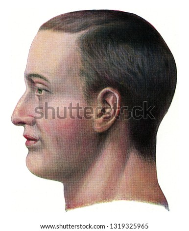Head of a European, vintage engraved illustration. From the Universe and Humanity, 1910.
