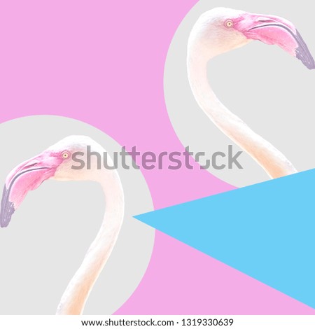 pop art collage pink isolated flamingo, minimal pastel trendy contemporary mood
