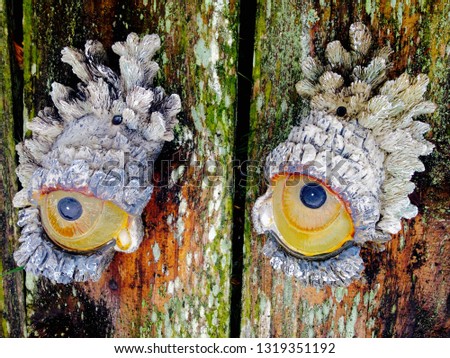 Googly eyes on wooden plank fence