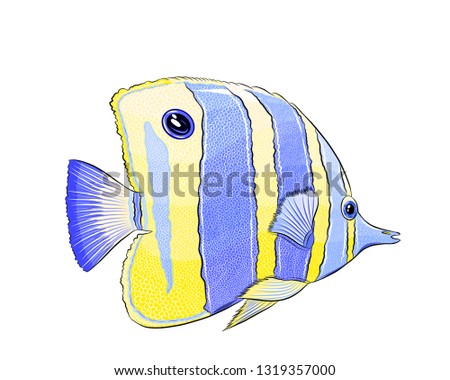 butterfly striped fish