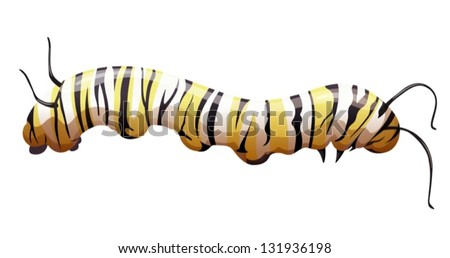 Illustration of the monarch butterfly larva stage