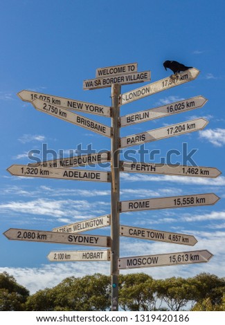Crow sitting on a Milestone sign in the Nullabor dessert, Australia