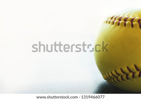 Fast Pitch Softball Ball