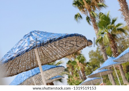 Background. Umbrellas from straw. Palm trees and sun