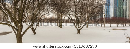 View of Grant Park in Chicago during the Winter.