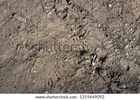 Dried ground soil dirt surface texture