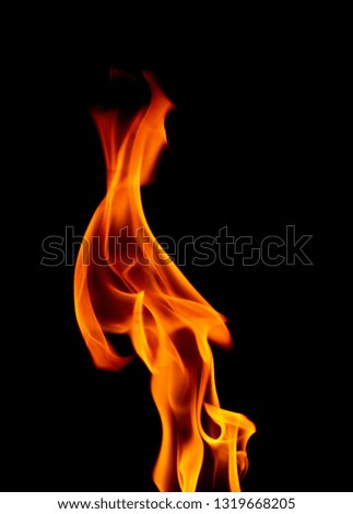 Close Up of Burning Flames on a Black Background