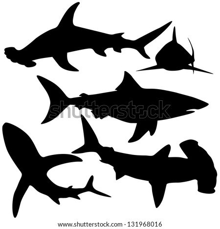 Collection of sharks isolated on white (Vector)