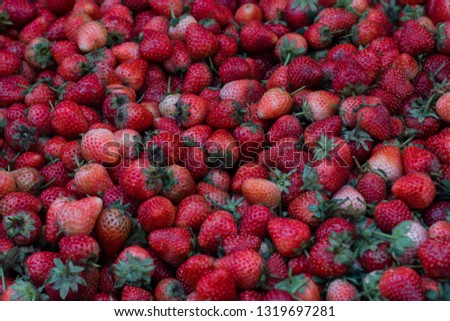 Many red strawberries background.