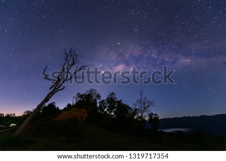Nature landscape view of Dead tree with universe space of milky way galaxy and stars on sky at night. (Long exposure photograph, with grain.Image contain certain grain or noise and soft focus.)