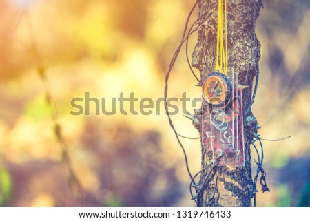 Compass on tree for learning finding direction in forest on hills