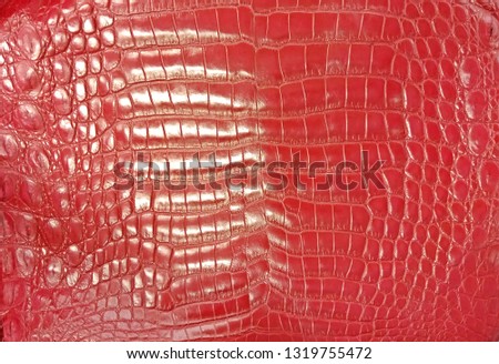 Red Crocodile Leather Background and Texture