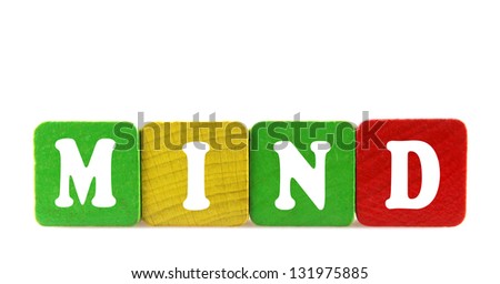 mind - isolated text in wooden building blocks