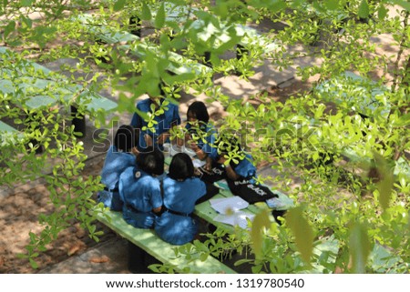 
Schoolgirls wear scout suits, sitting in a garden covered with green leaves, filmed as blurred images