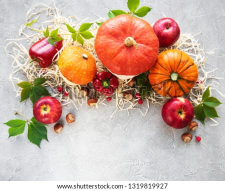 Colorful autumn pumpkins on a concrete background
