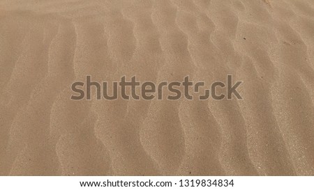 A beautiful golden sand in summer time.
