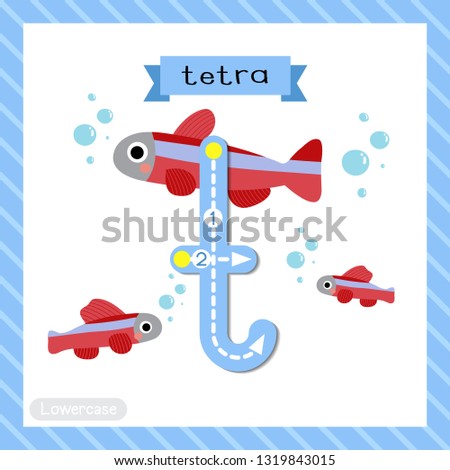 Letter T lowercase cute children colorful zoo and animals ABC alphabet tracing flashcard of Tetra fish for kids learning English vocabulary and handwriting vector illustration.