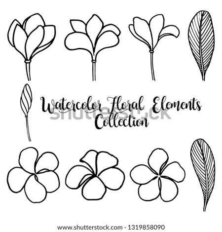 Hand Drawn Valentine Floral Elements Collection