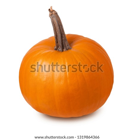 Pumpkin isolated. Big ripe orange pumpkin for eating or Halloween cut out on white background