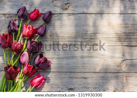 tulips on old wooden background