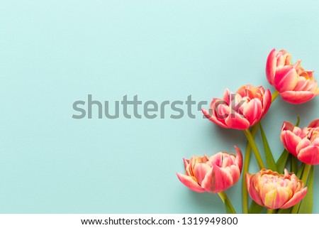 Spring flowers. Tulips on pastel colors background. greeting card Retro vintage style. Mother day, easter greeting card.