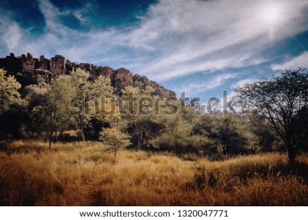 View towards the Waterberg Plateau in the evening sun, Namibia