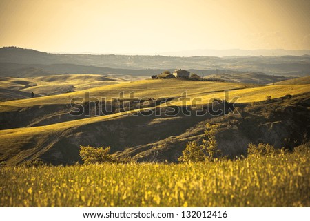Outdoor Tuscan hills landscape at sunset. Horizontal shot