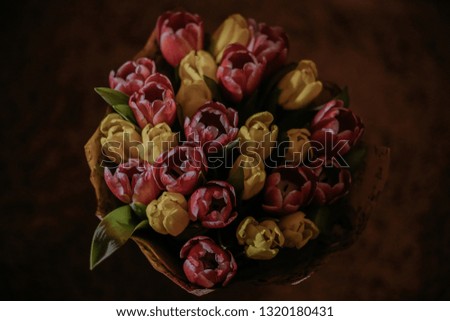 Toned picture of pink and yellow tulips bouquet in the sun light close-up shallow depth of field