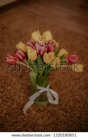 Toned picture of pink and yellow tulips bouquet in glass vase with white ribbon with water droplets in the sun light close-up shallow depth of field 
