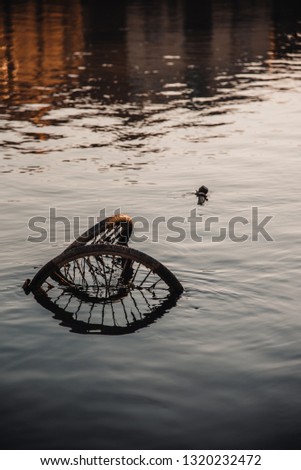 Two dumped bike wheels in a river