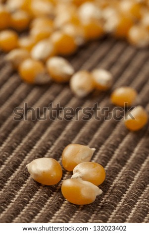 Organic Yellow Raw Corn Kernels against a background