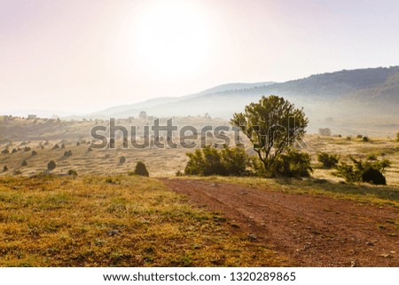 Beautiful hilly landscape in morning. Exploration concept