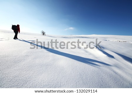 Nature photographer trekking in the mountains
