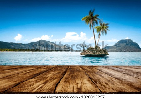 Wooden desk of free space for your decoration. Landscape of Madagascar island with two coco palms. Summer time and blue ocean with sky. 