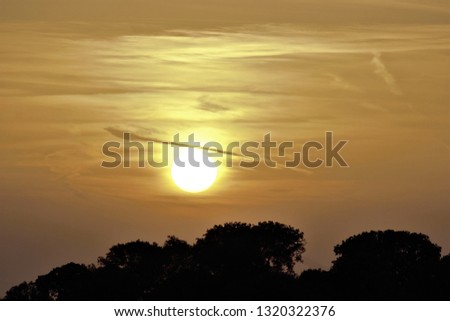 sequence of sunset photographs in the meadow manchega Castilian. Photo with space for advertising, space for promotional text, space for advertising content,