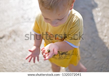 toddler boy holding a hermit crab in hand at beach