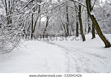 Snow-covered road in the park