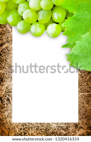 Wine plant leaves and grapes background