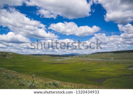 Yellowstone national park landscape.  Green grass with blue sky, big and flowy clouds, small rivers. Picture for wallpaper. National Park in United States. 
