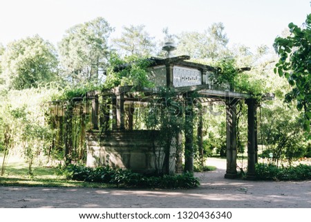 Pushkin, Saint Petersburg, Russia. Catherine Park (Tsarskoye Selo). Pergola, covered with wild grapes, in Its own garden. Summer sunny day in the park