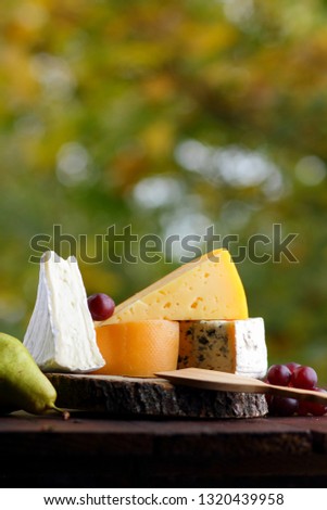 Cheese and grapes on wooden boards. Various types of cheese and fruits on blurred background. Dorblu, camembert and hard yellow cheese