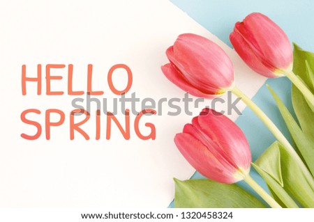 Hello spring text sign. Background of tulips flat lay. Greeting card concept. postcard International Women's Day.