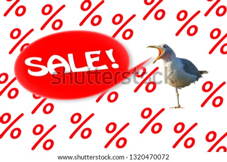 The seagull shouts "sale" on a background from percent. Mock-up for postcards.