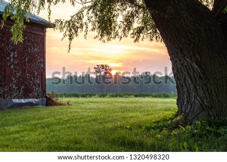 sunrise at the farm