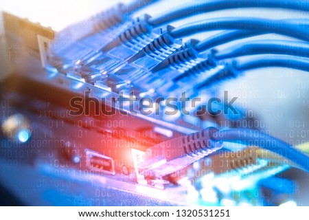 Network infrastructure, switch or router socket, cable connections. Ethernet, wired transmission, data center concept Royalty-Free Stock Photo #1320531251