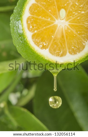 Drop of lemon juice falling down. Royalty-Free Stock Photo #132056114