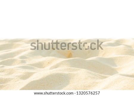 Fine beach sand in the summer sun. Beach sand texture on white background