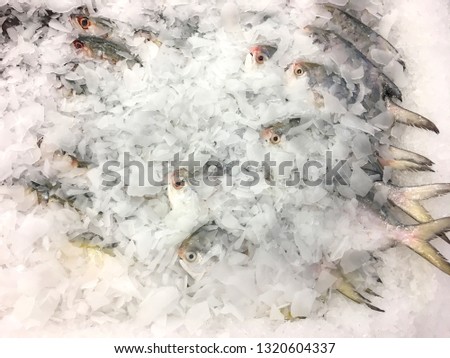 Fresh white pomfret and mackerel on ice in the supermarket